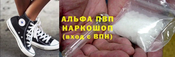 стафф Вязьма