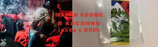 стафф Вязьма