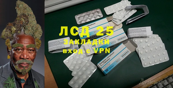 амф Вяземский