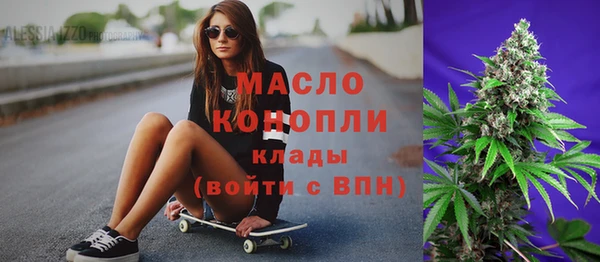 амф Вяземский