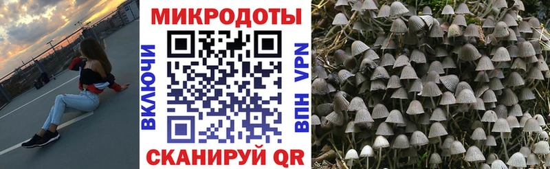 Галлюциногенные грибы Magic Shrooms  Купить где  Ковров 